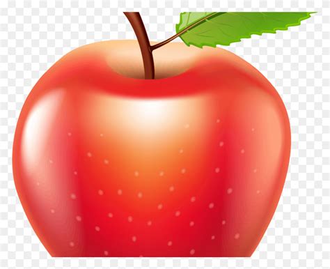 apple clipart cute transparent plant fruit food hd png
