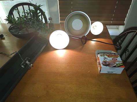 craigslist pets yakima 7