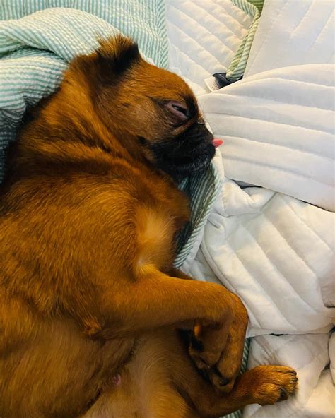 Roni (@the_real_roni_) • Instagram photos and videos