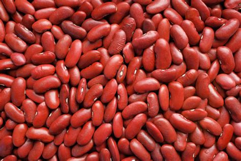 Red Beans, Nutrition Facts & Calories, Protein, Fats, Carbs per 100g