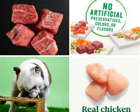 Best Dog Food Maintains Weight While Meeting Nutritional Needs!