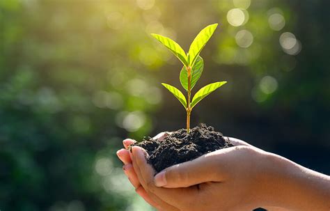 sustenance  motto  farmson