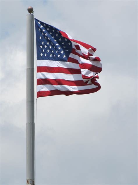 red white  blue  stock photo public domain pictures