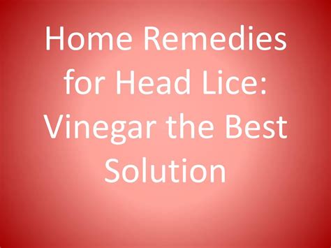 PPT - Home Remedies for Head Lice: Vinegar the Best Solution PowerPoint