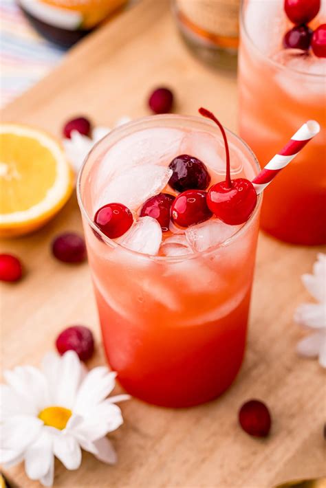 Sex on the Beach Cocktail Recipe - Sweet Cs Designs