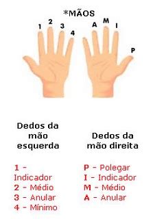 Nome De Todos Os Dedos - Núcleo de Violão/Bruno Cavalcante: Nomes dos dedos das mãos (para destros):