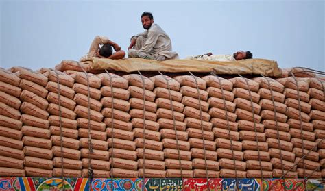 cement exports rise   local demand stays   pakistan daily times