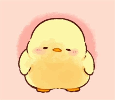 Cute Chicken Aesthetic, Cute Chicken, Cute Chicken Drawing, Cute ...