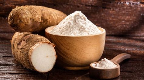 manfaat tapioka bagi kesehatan lengkap  nutisi  gizinya