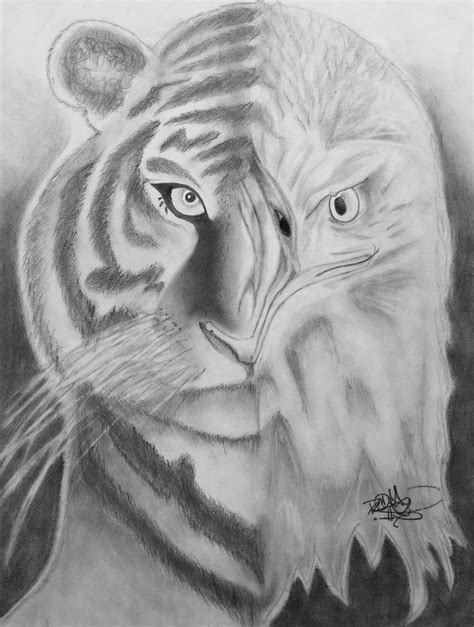 Student Art: Hybrid Designs | concept + transition