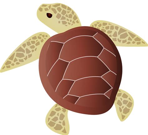 clip art sea turtle 5