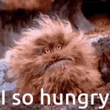Funny Hungry GIFs | Tenor