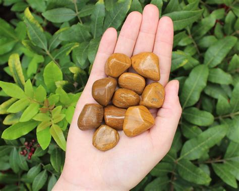 Yellow / Brown Jasper Tumbled Stones: Choose How Many Pieces (Premium ...