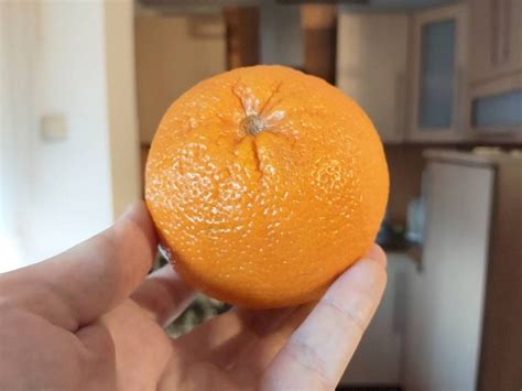 Orange Calories and Nutrition (100g)