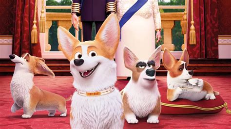 (Test Blu-ray) Royal Corgi de Ben Stassen & Vincent Kesteloot - Focus