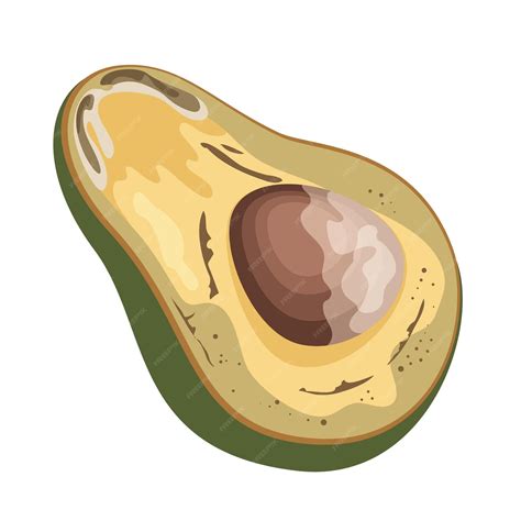 Premium Vector | Spoiled avocado fruit