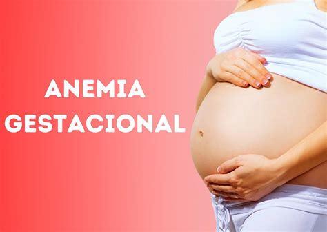 Anemia Na Gravidez Prejudica O Bebê - Anemia Gestacional