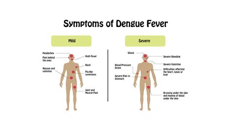 Dengue Fever – The Symptoms and What You Can Do - ezTakaful