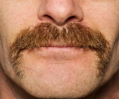 horseshoe mustache  styles grooming tips bald beards