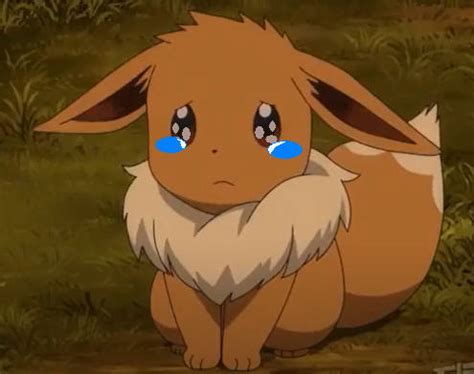 Eevee crying by Bc320903871 on DeviantArt