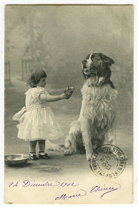 199 best images about Vintage Dog Postcards (all breeds) on Pinterest ...