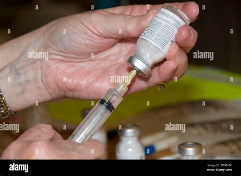 nurse medication iv  res stock photography  images alamy