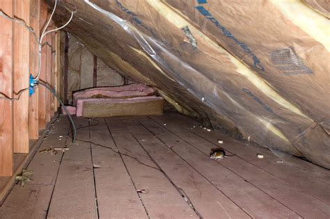The Top 5 Signs Your Home Needs Insulation Replacement | Home Solutions