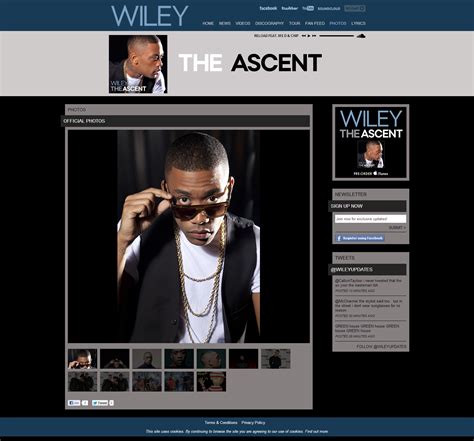 Wiley Website | Native Noise