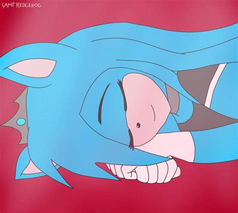 The Sleeping Hedgehog by SamiHedgehogSeriesYT on DeviantArt