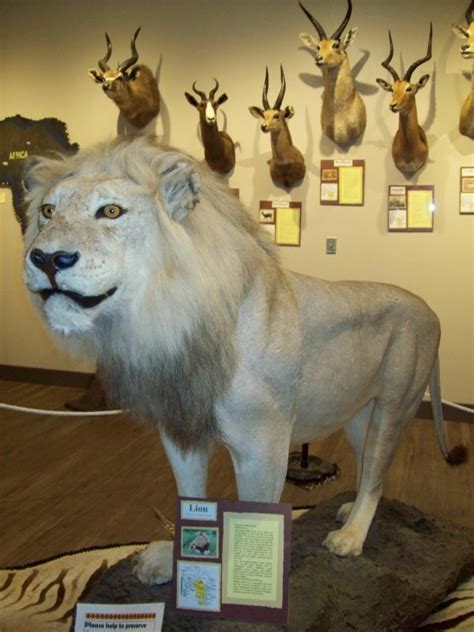 Assiniboia District Historical Museum Visitor Information Centre | Tourism Saskatchewan