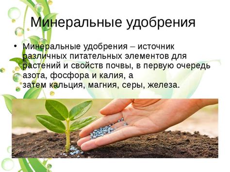 Презентация "Минеральные удобрения" - скачать бесплатно