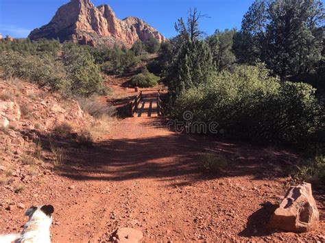 Sedona Red Rock Hiking Trails Stock Photo - Image of mountain, united ...