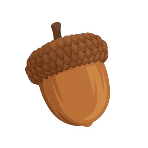 216,739 Acorn Images, Stock Photos, 3D objects, & Vectors | Shutterstock