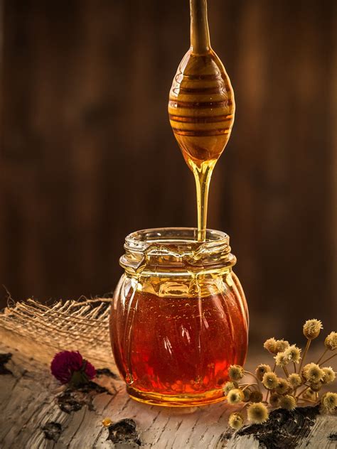 6,000+ Free Honey Badger & Honey Images - Pixabay