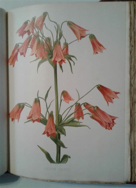 Obituary and Life Legacy for Flora Robinson 10