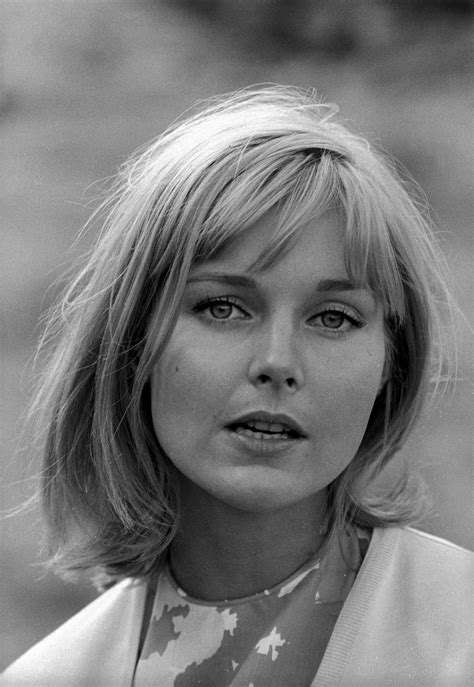 Carol Lynley Pictures (44 Images)