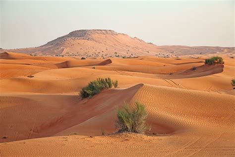 riyadh ancient city oasis capital britannica