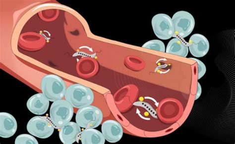 Microrobots open new medical benefits | Inquirer Technology