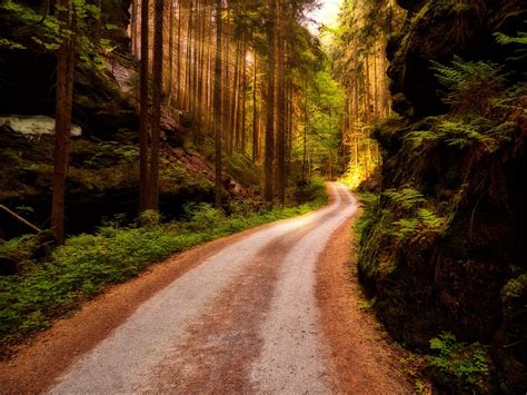Trail Nature Landscape - Free photo on Pixabay - Pixabay