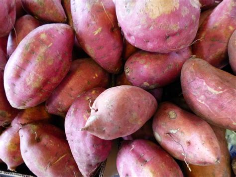 Batata É Legumes Ou Verdura - Batata é Legume ou Verdura? | Mundo Ecologia