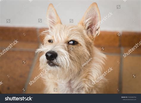 Suspicious Face Meme