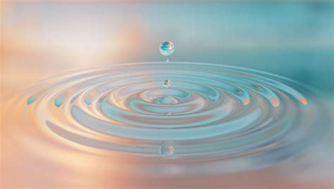 definition  purity david servant