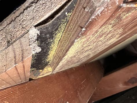 Recently had a leak fixed, noticed this while crawlspace was drying out
