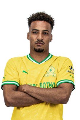 rivaldo coetzee stats  titles won