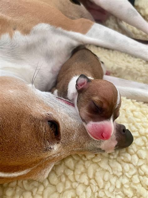 Find the address for Greyhound Atlanta location 14