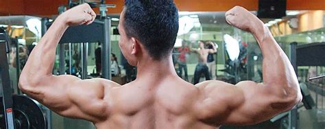 bahu belakang reps indonesia fitness healthy lifestyle