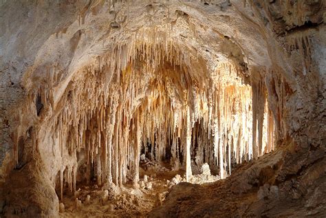 Carlsbad Caverns: Explore 119+ Caves & Desert Beauty | WNPA