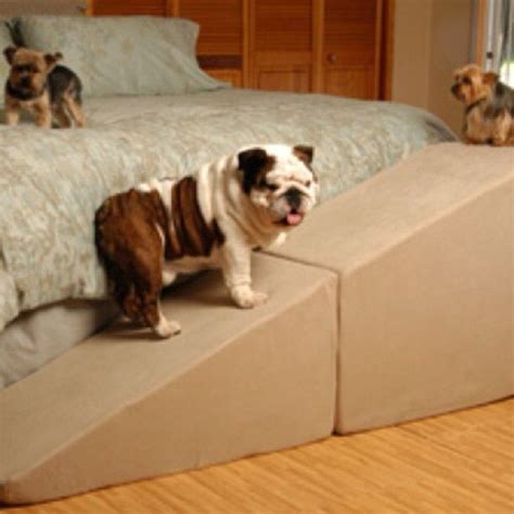 Dog Stairs For Large Dogs | Foter