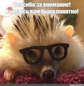 Создать мем "ёжик мультфильм, ёжик, смешной ежик" - Картинки - Meme ...