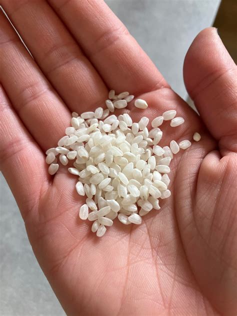 Japanese Rice Basics - Alo Japan All About Japan